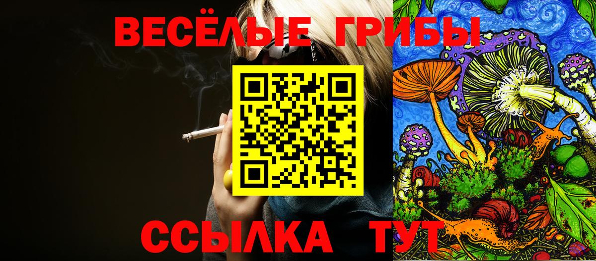 Псилоцибиновые грибы Psilocybe  Вход с VPN  Галлюциногенные грибы Magic Shrooms  Орехово-Зуево 